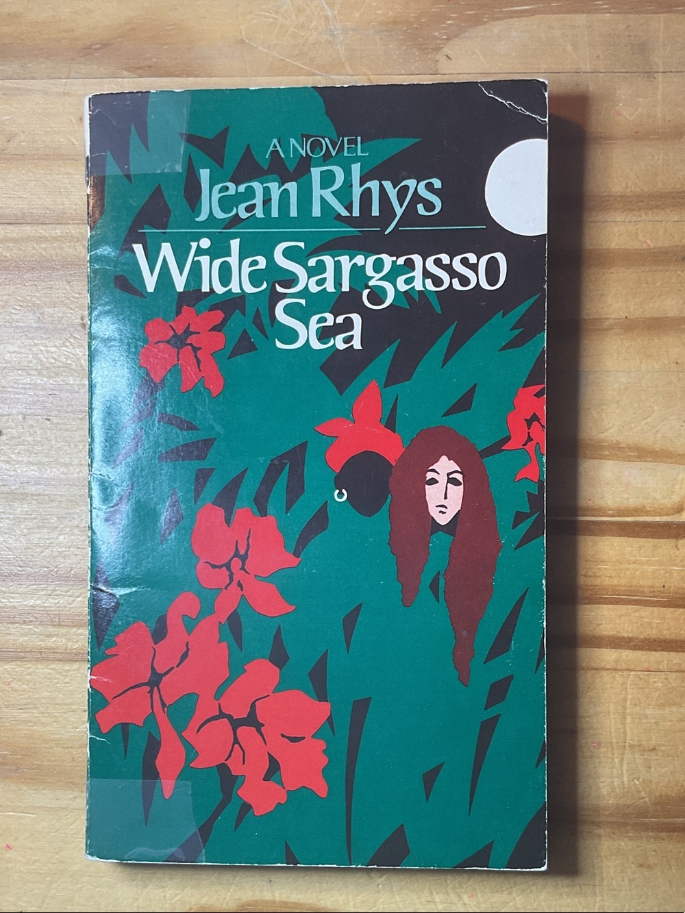 Jean Rhys "Wide Sargasso Sea" Paperback - Green & Red Cover
